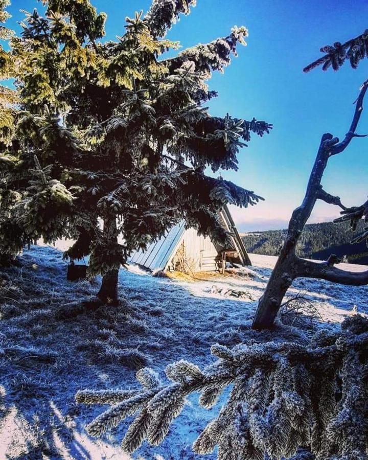 Apartamenty Pilsko Korbielow Bagian luar foto
